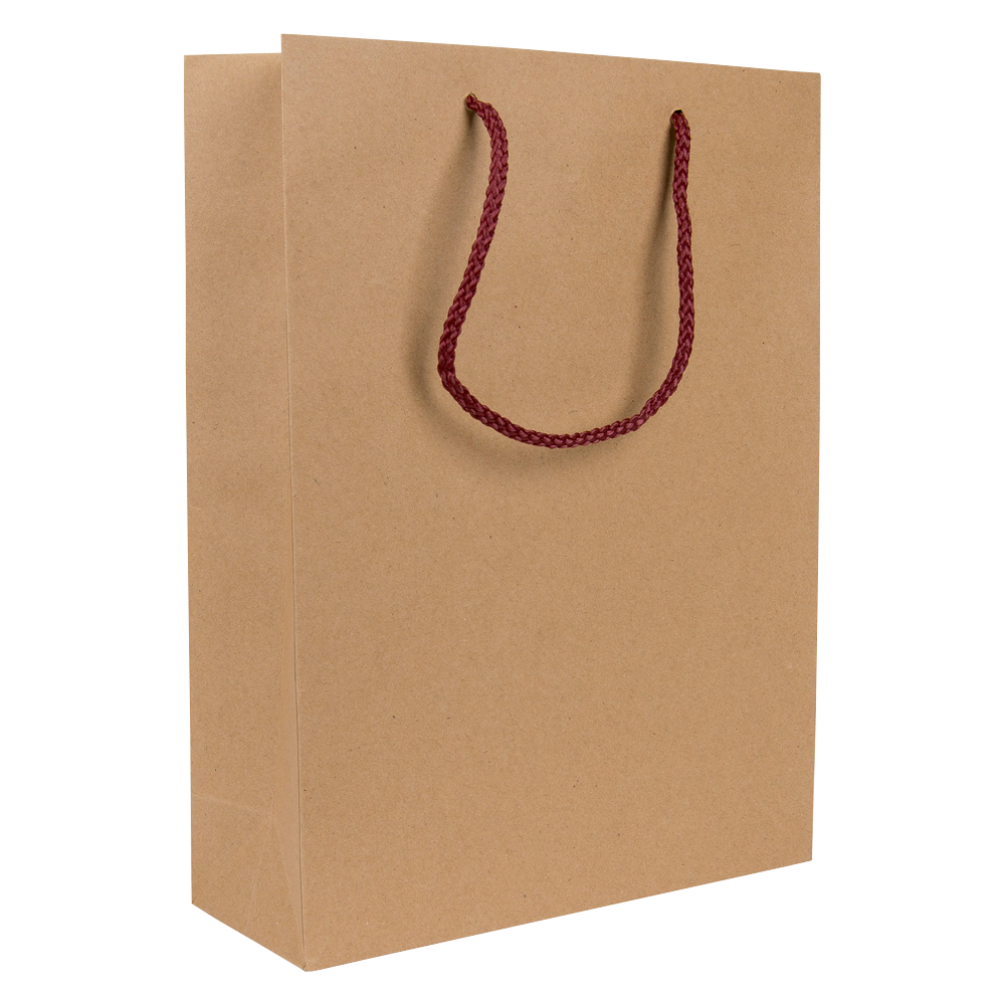 Portrait Kraft Brown Paper Gift Bag With Rope Handles 