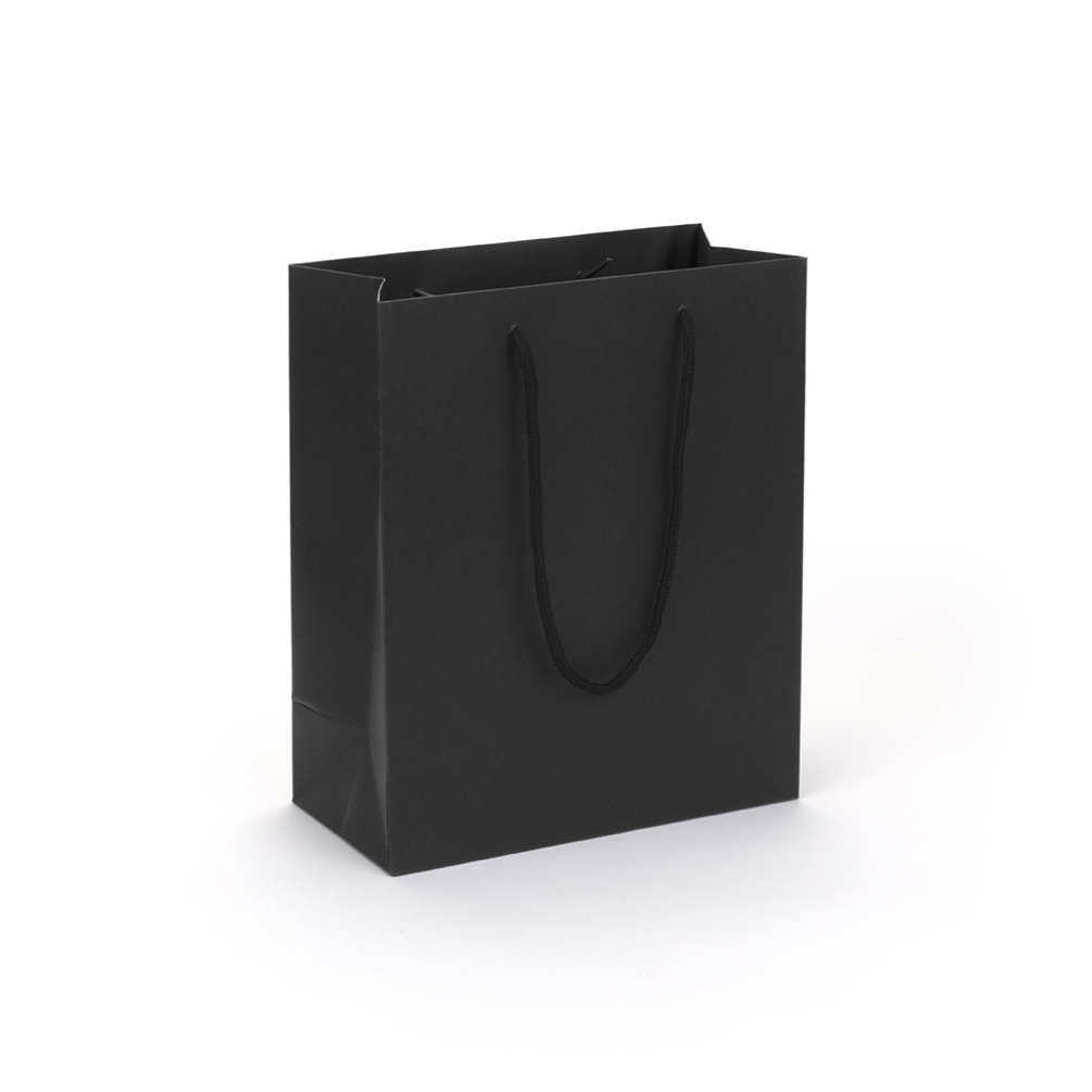 Large Portrait Paper Gift Bag | Rope Handles 