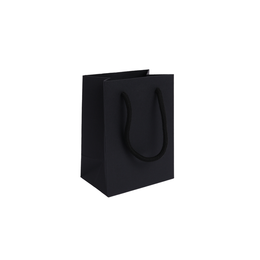 Black Rope Handle Paper Gift Bag – Small Portrait