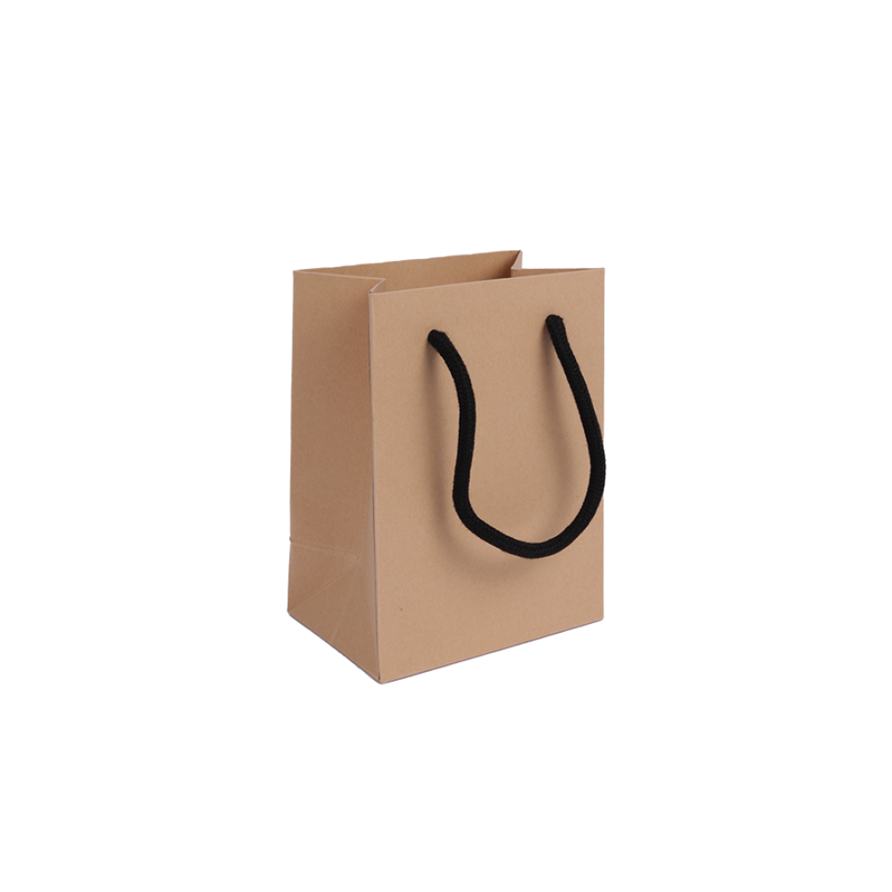 Black Rope Handle Paper Gift Bag – Small Portrait