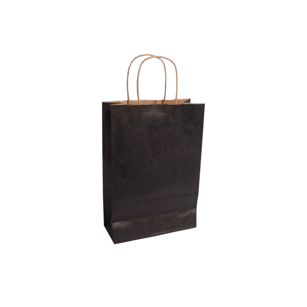 Essentials Medium Black Paper Gift Bag With Paper Twisted Handles