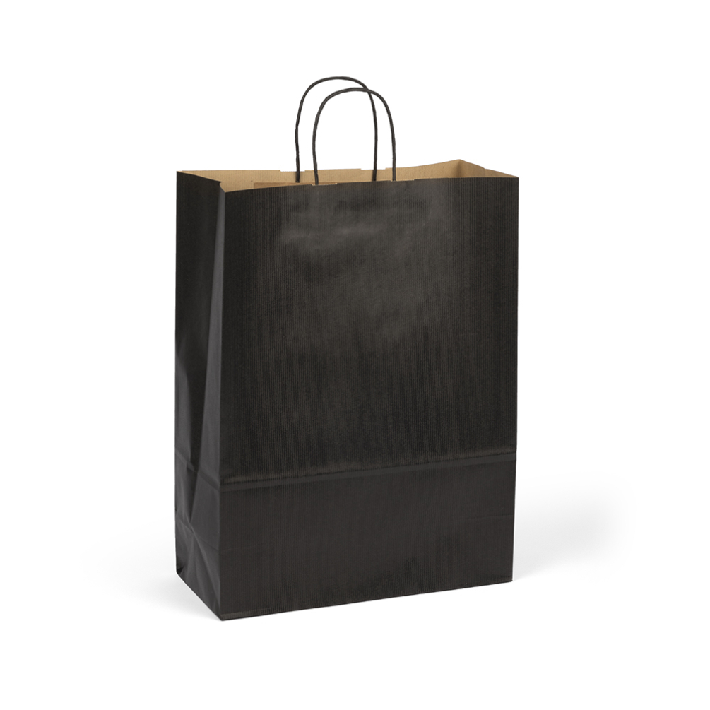 Large Paper Gift Bag | Twisted Handles 