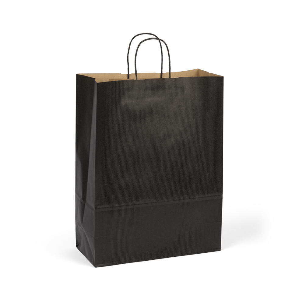 Large Paper Gift Bag Twisted Handles Tiny Box Company