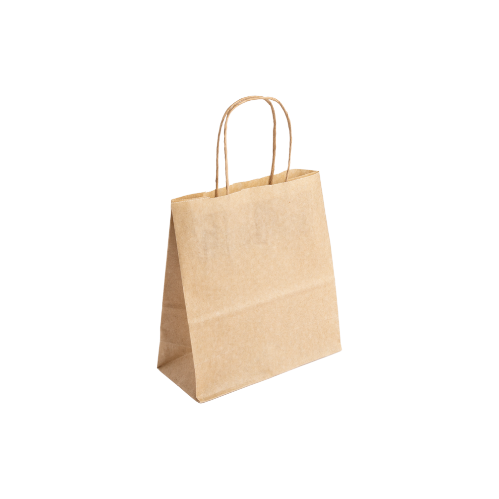 Essentials Range Small Paper Gift Bag with Paper Twisted Handles