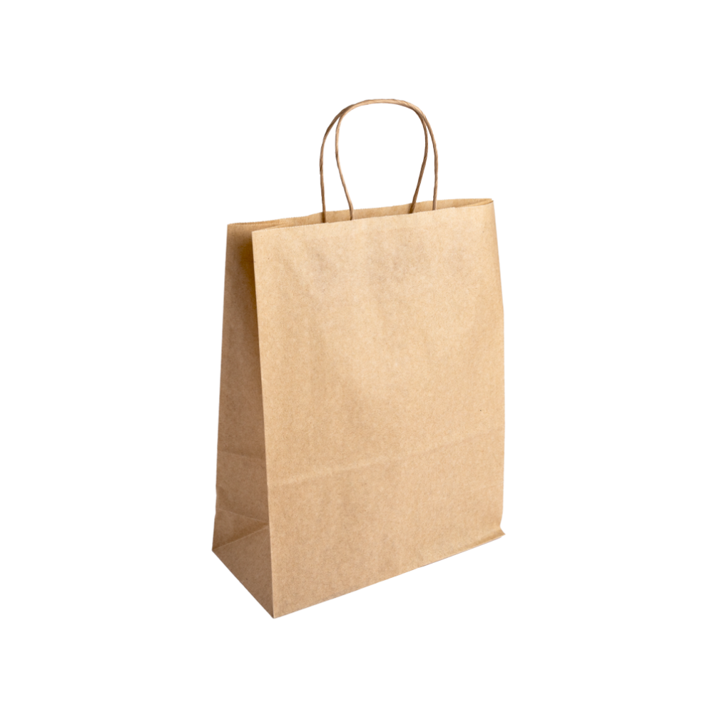 Essentials Range Medium Kraft Paper Gift Bag with Paper Twisted Handles