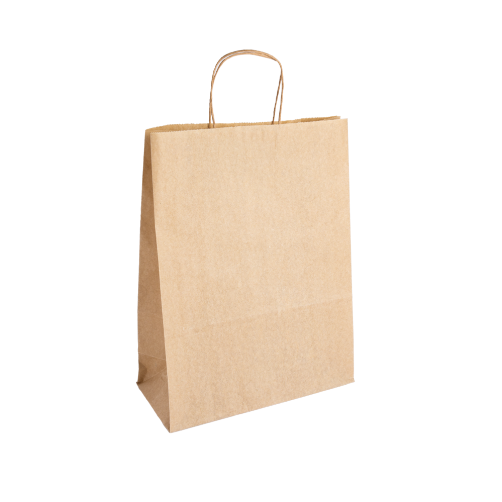 Essentials Range Large Kraft Paper Gift Bag with Paper Twisted Handles