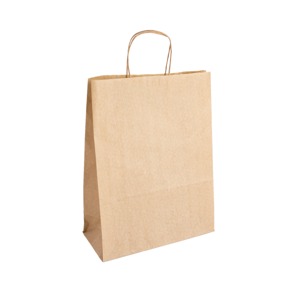 Digital Printed Essentials Range Large Kraft Brown Paper Gift Bag with Paper Twisted Handles