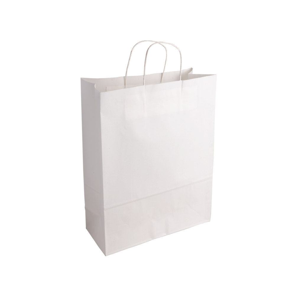 Essentials Larger White Paper Gift Bag With Paper Twisted Handles