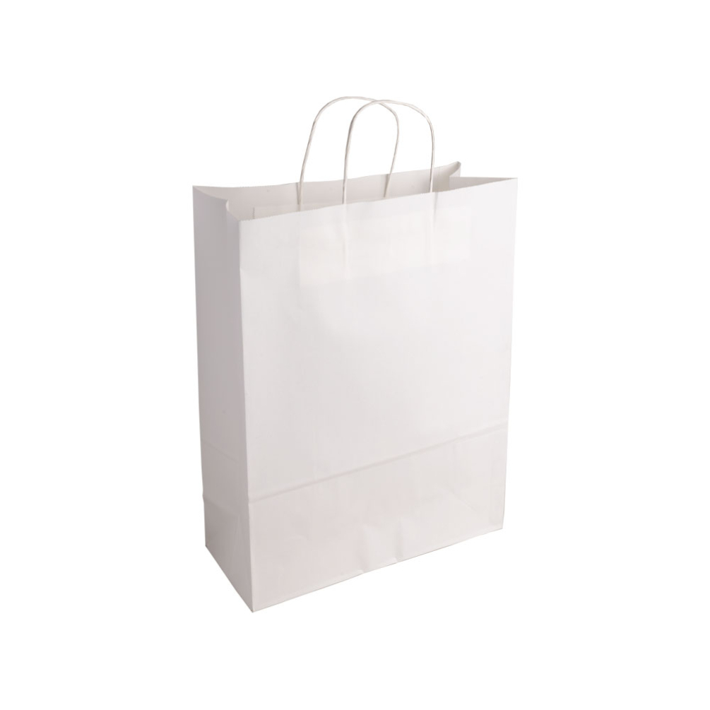 Essentials Medium White Paper Gift Bag With Paper Twisted Handles