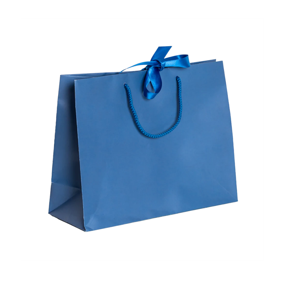 Pack of 25 Large Landscape Blue Paper Gift Bags With Rope Handles and Ribbon