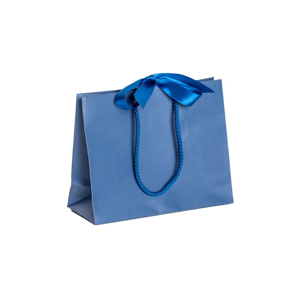 Pack of ... Small Landscape Blue Paper Gift Bags With Rope Handles and ...
