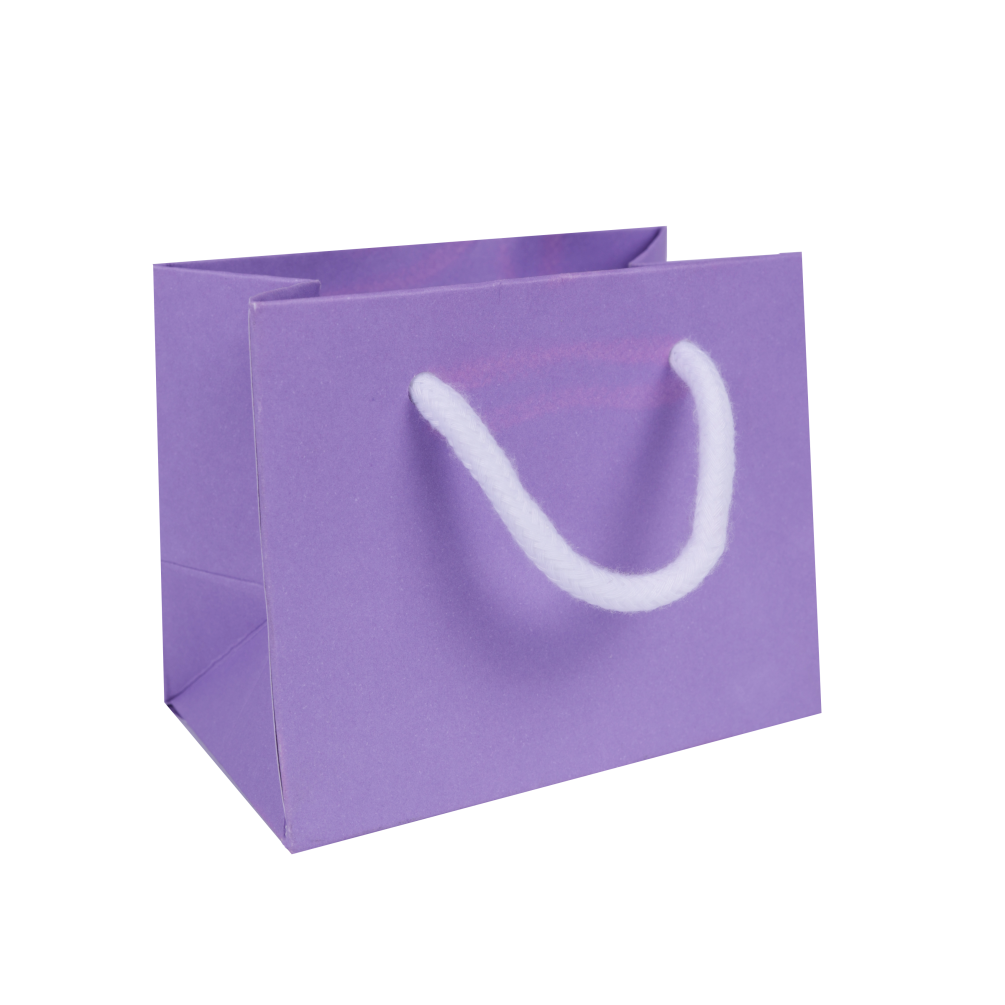 Second Extra Small Landscape Lilac Paper Gift Bag with Rope Handles
