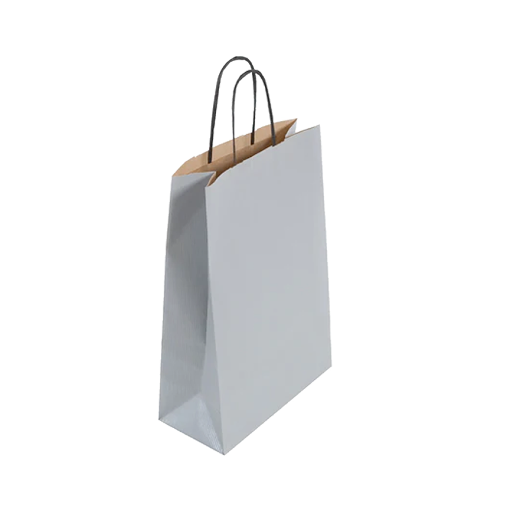  Pack of 25 Medium Silver Paper Gift Bags With Paper Twisted Handles