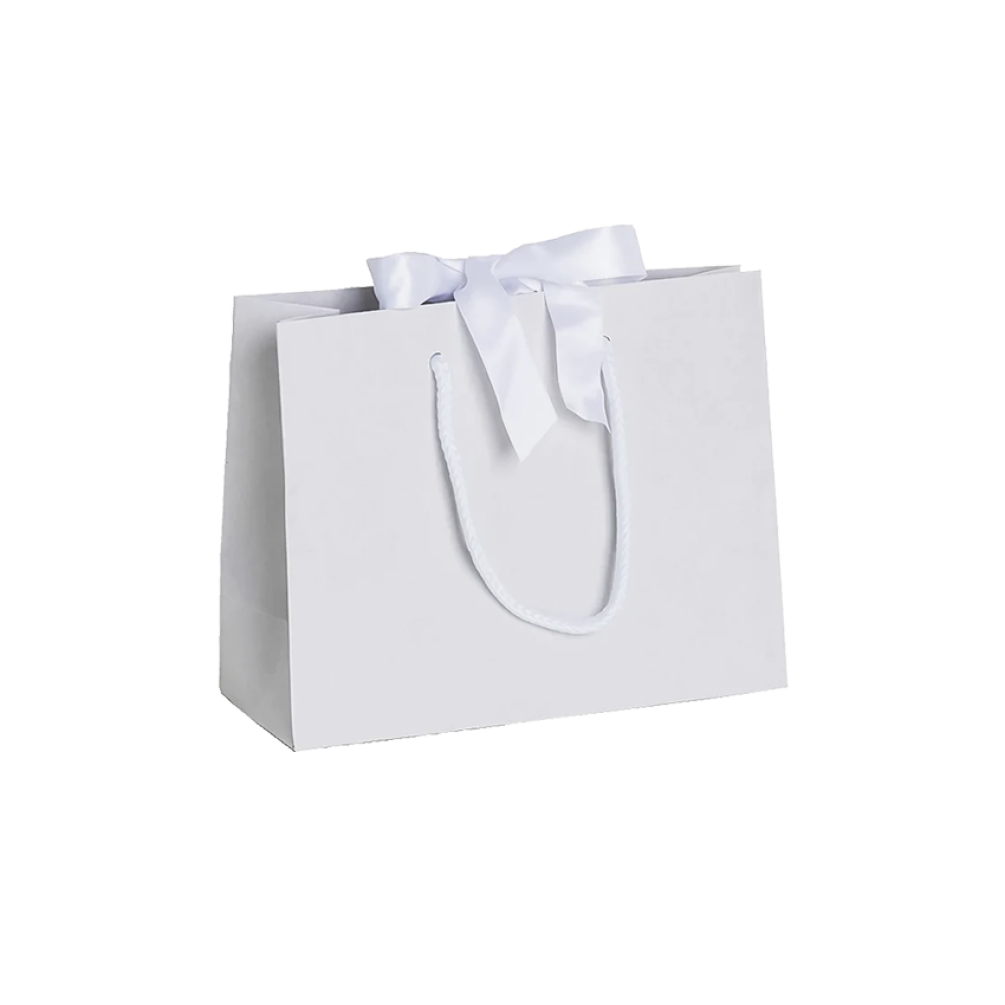 Pack of 25 Small Landscape Antique White Paper Gift Bags With Rope Handles and Ribbon