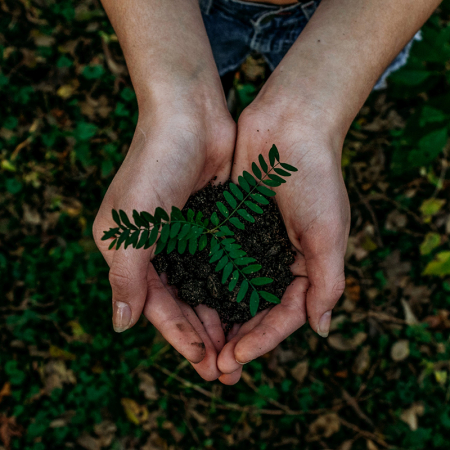 Eco/Sustainability Page