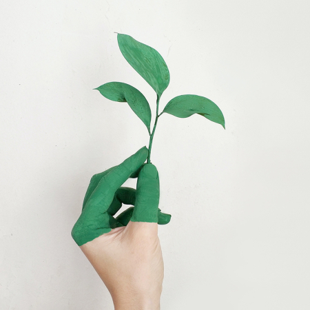 SUSTAINABILITY