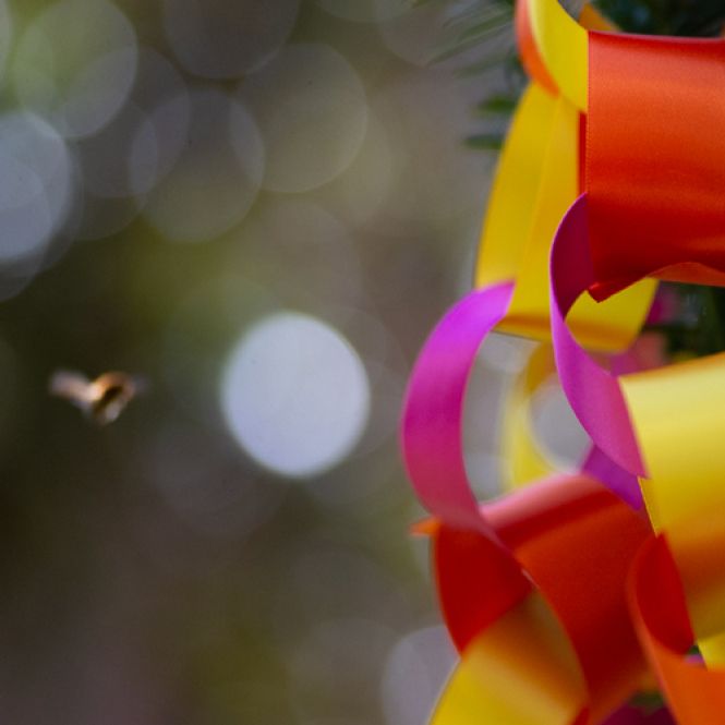 Florist packaging 1 - image