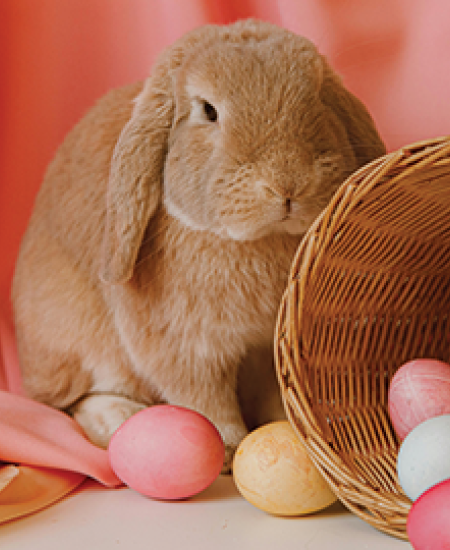 Small businesses: Avoid putting all your eggs in one basket