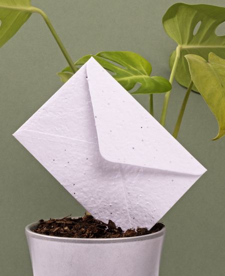 How to go vegan for your small business - Veganuary and beyond