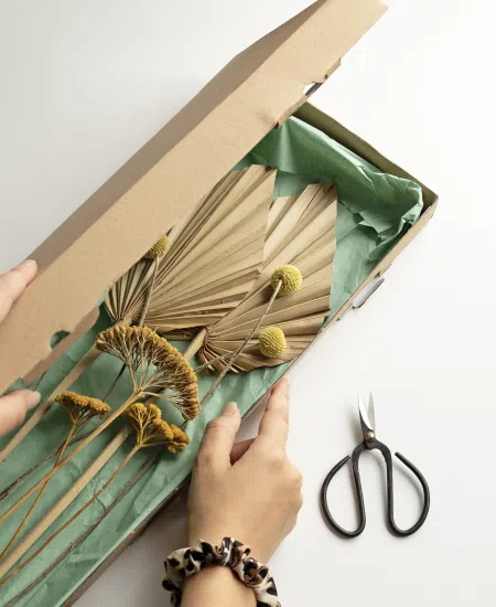 Compostable, biodegradable, recyclable - what's the difference?