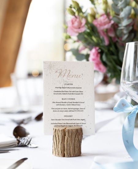 Houseplant Appreciation Day: How plantable seed paper works