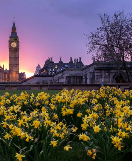 Spring Statement 2025: An update for small businesses