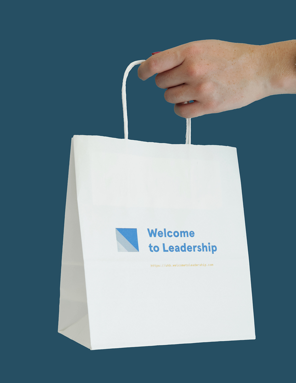 Paper twist handle gift bags
