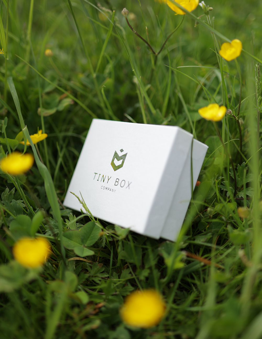 Eco Plus