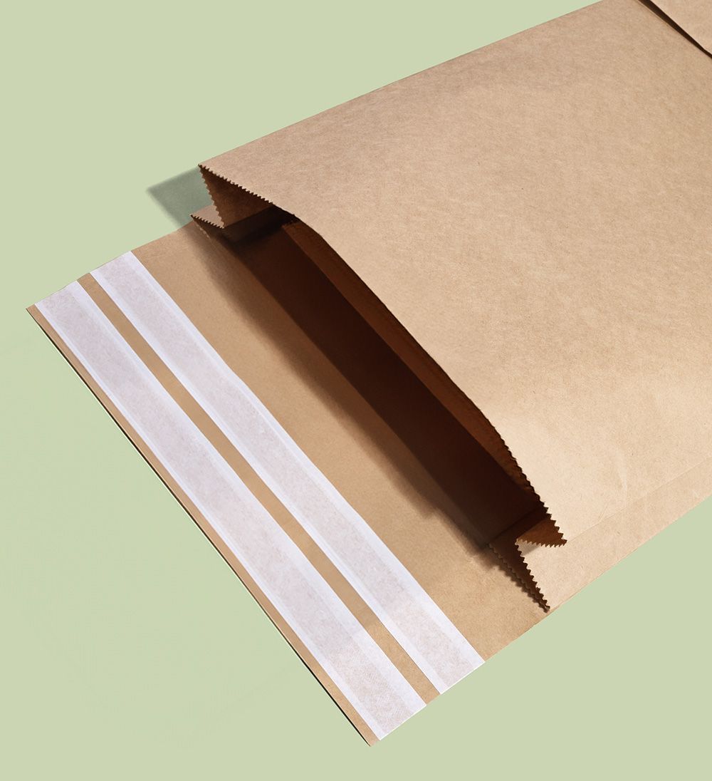 Paper mailer bag with tear strip and second seal layout